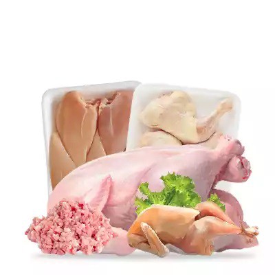 Grocery Ecommerce Template