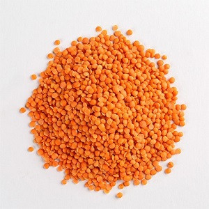 মশুর ডাল (বড় দেশি)